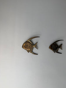 Pair of Brass Angel Fish