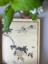 Load image into Gallery viewer, Vintage ‘Kingfisher &amp; Peony’ book, German