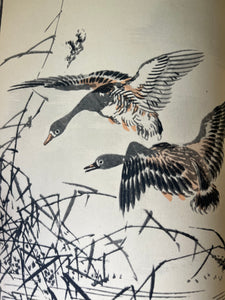 Vintage ‘Kingfisher & Peony’ book, German