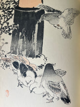 Load image into Gallery viewer, Vintage ‘Kingfisher &amp; Peony’ book, German