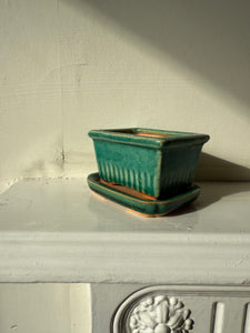 Vintage Bonsai Tree Pot