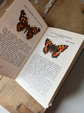 Load image into Gallery viewer, Vintage Observer Book of Butterflies