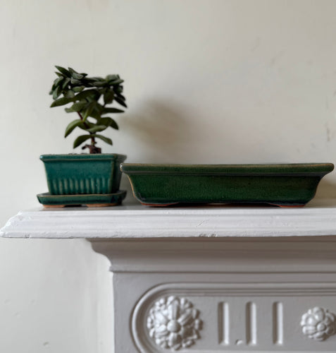 Vintage Bonsai Tree Tray - Medium