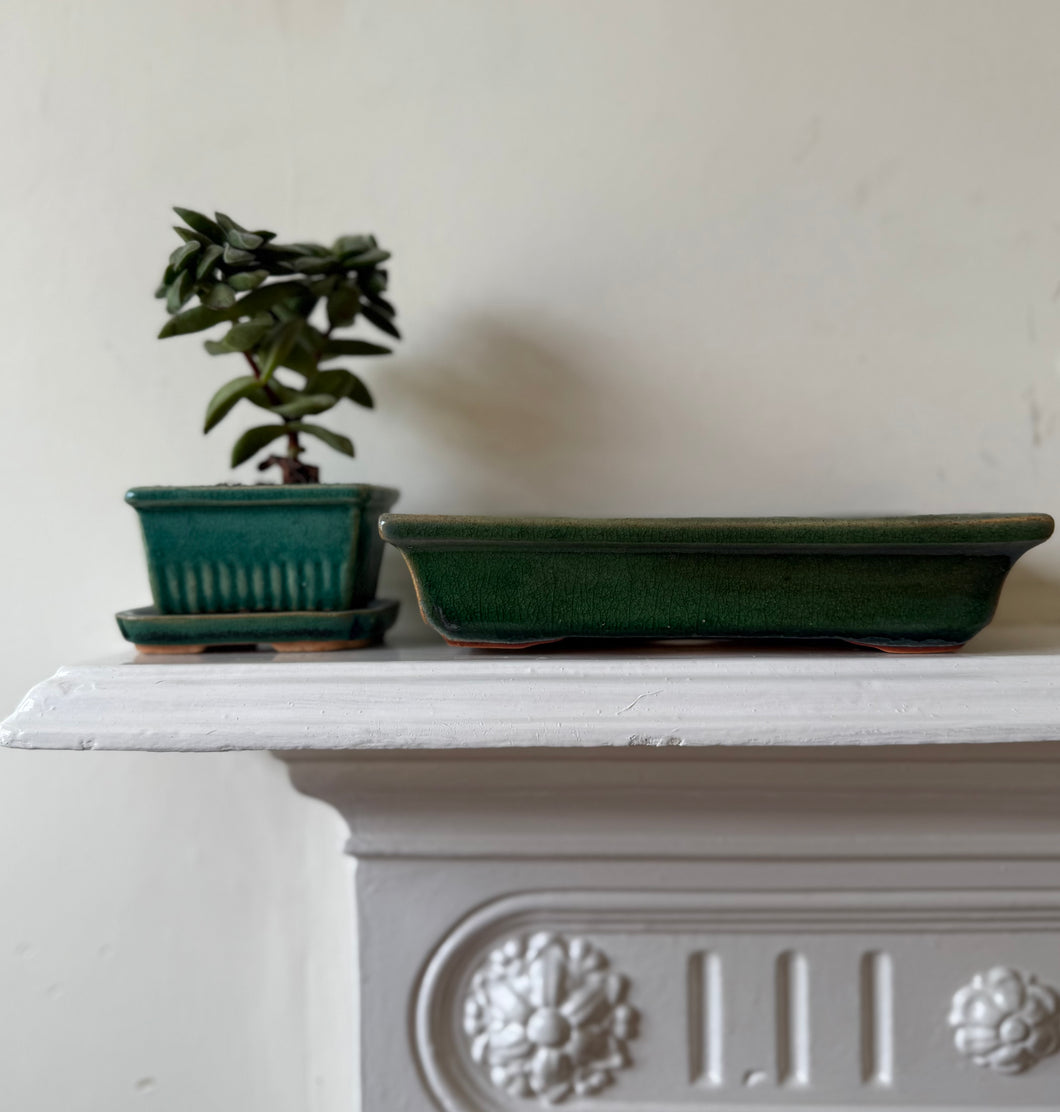 Vintage Bonsai Tree Tray - Medium
