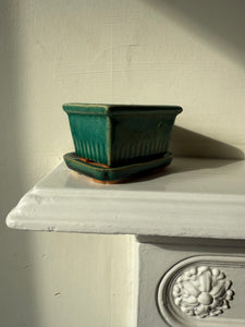 Vintage Bonsai Tree Pot