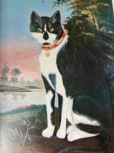 70s edition ‘The Illustrated Cat’