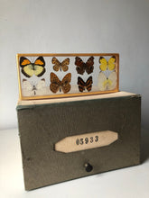 Load image into Gallery viewer, Vintage Butterfly Resin Block