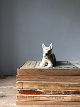 Load image into Gallery viewer, Vintage Sylvac Terrier