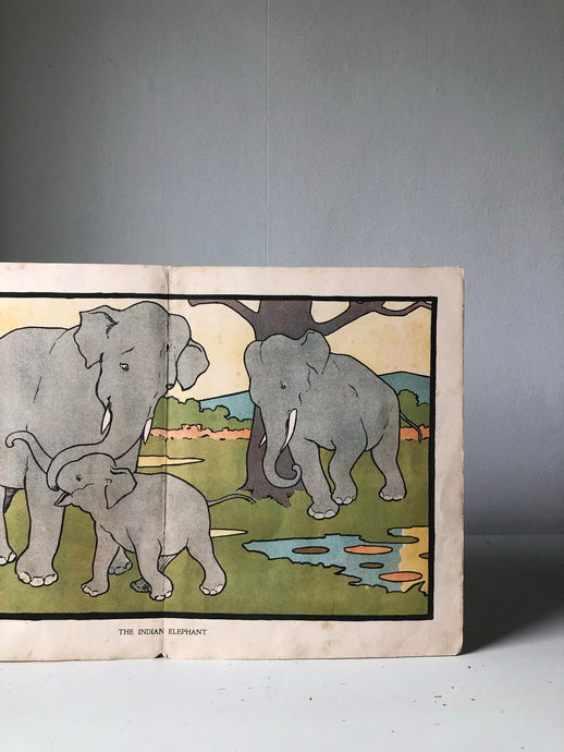 Original 1930s Elephant Bookplate