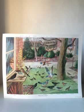 Original 1950s School Poster, ‘Feeding Birds In Winter'