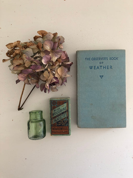 Vintage cigarette ‘Wild Woodbine’ box