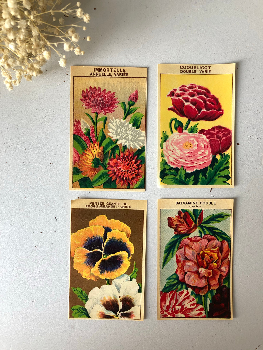 Set of Four Original French Flower Seed Labels, Poppy