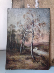 Antique Woodland Oil Painting on Board