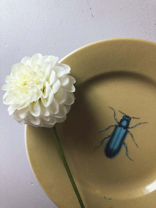 Vintage Bug Plate