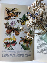 Load image into Gallery viewer, Pair of Observer Books, Insects and British Wild Flowers