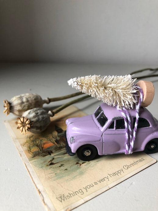 Home for Christmas - Lilac Beetle