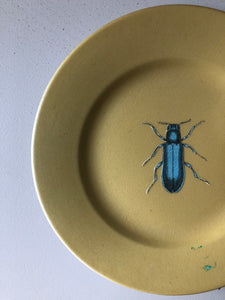 Vintage Bug Plate