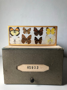 Vintage Butterfly Resin Block