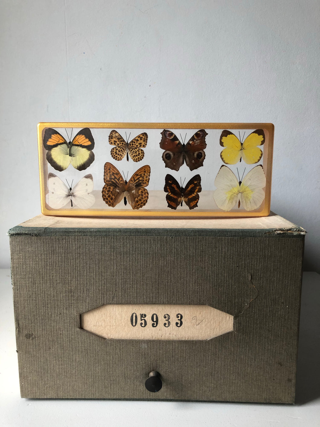 Vintage Butterfly Resin Block