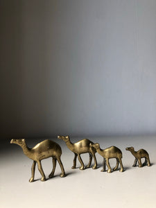 Set of 1930s Brass camels