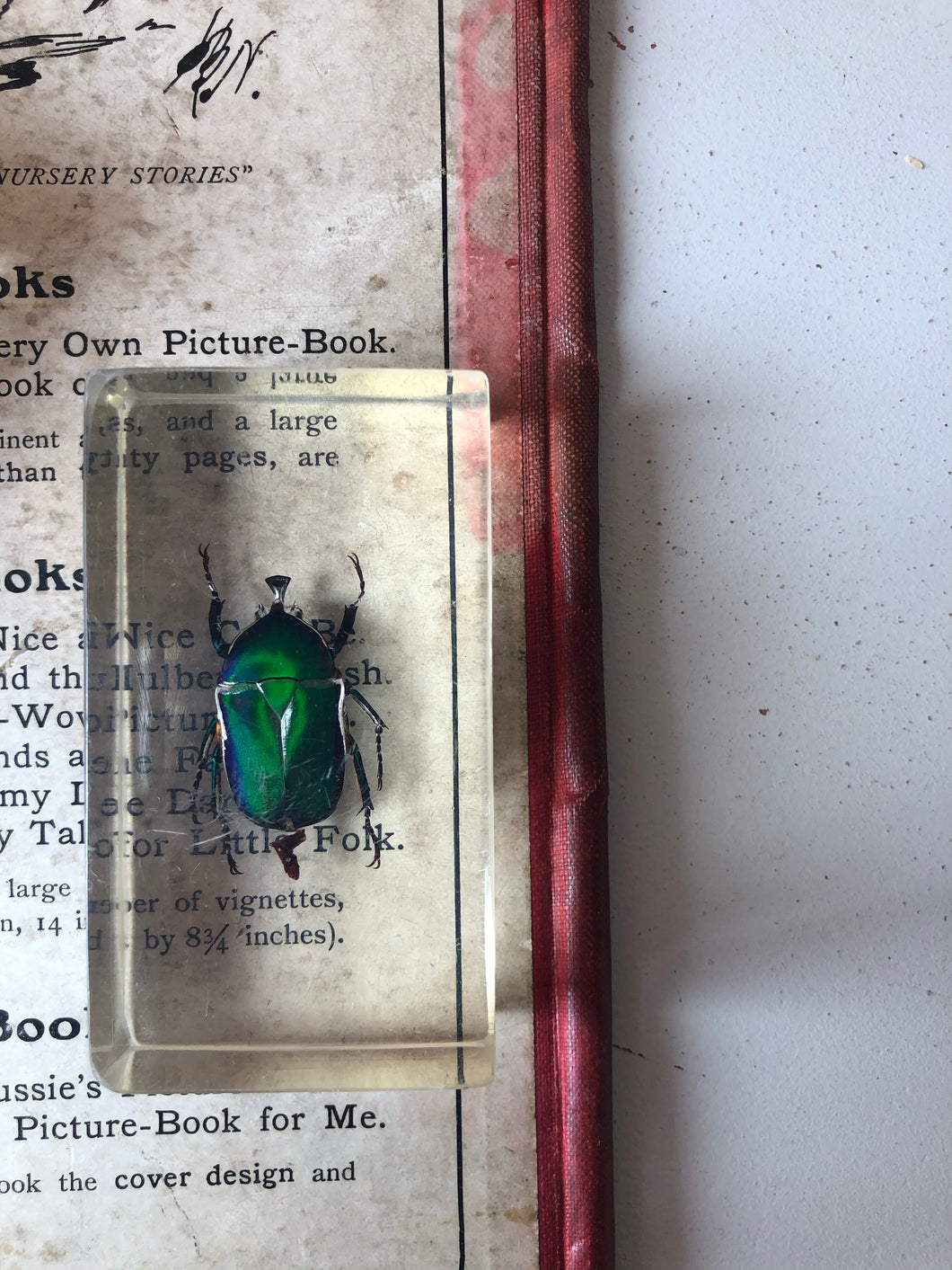 Vintage Green Beetle Resin Block