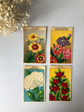 Load image into Gallery viewer, Set of Four Original French Flower Seed Labels, Pheasants Eye
