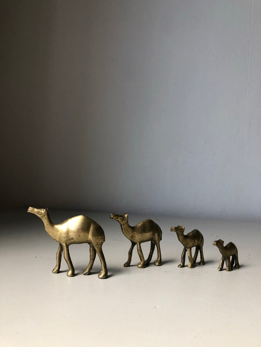 Set of 1930s Brass camels
