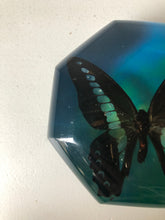 Load image into Gallery viewer, Vintage Octagonal Butterfly Paperweight