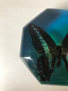 Vintage Octagonal Butterfly Paperweight