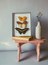 Load image into Gallery viewer, NEW - Vintage Framed Butterflies