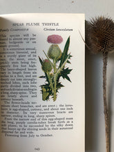 Load image into Gallery viewer, Observer Book of British Wild Flowers