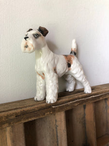 Vintage china Dog, Terrier