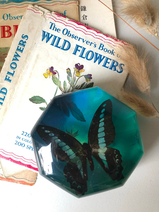 Vintage Octagonal Butterfly Paperweight