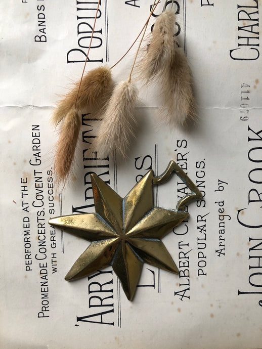 Vintage Horse Brass, Star