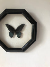 Load image into Gallery viewer, Octagonal Framed Vintage Butterfly