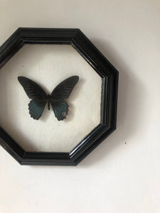 Octagonal Framed Vintage Butterfly
