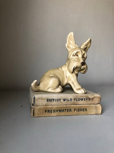 Vintage Sylvac Scottie Dog