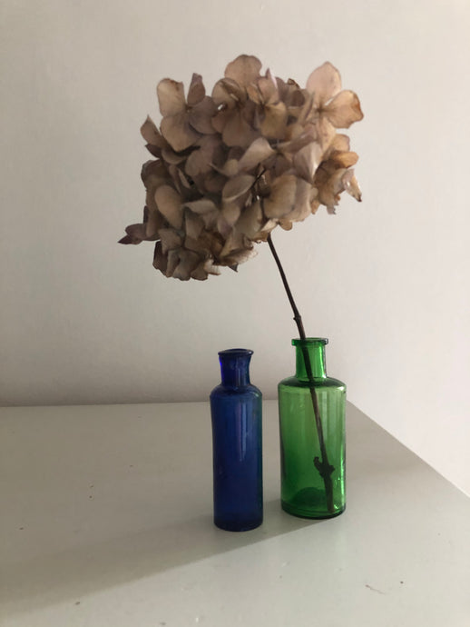 Pair of Vintage Medicine bottles