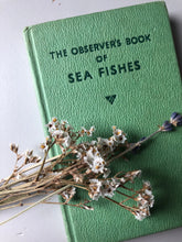 Load image into Gallery viewer, Observer Book of Sea Fishes