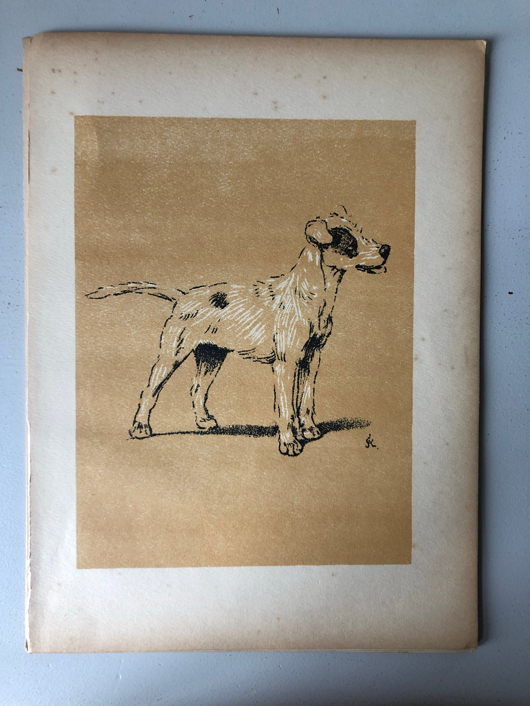 Cecil Aldin Dog Bookplate