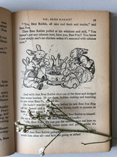 Load image into Gallery viewer, NEW - Vintage Enid Blyton Book, Brer Rabbit
