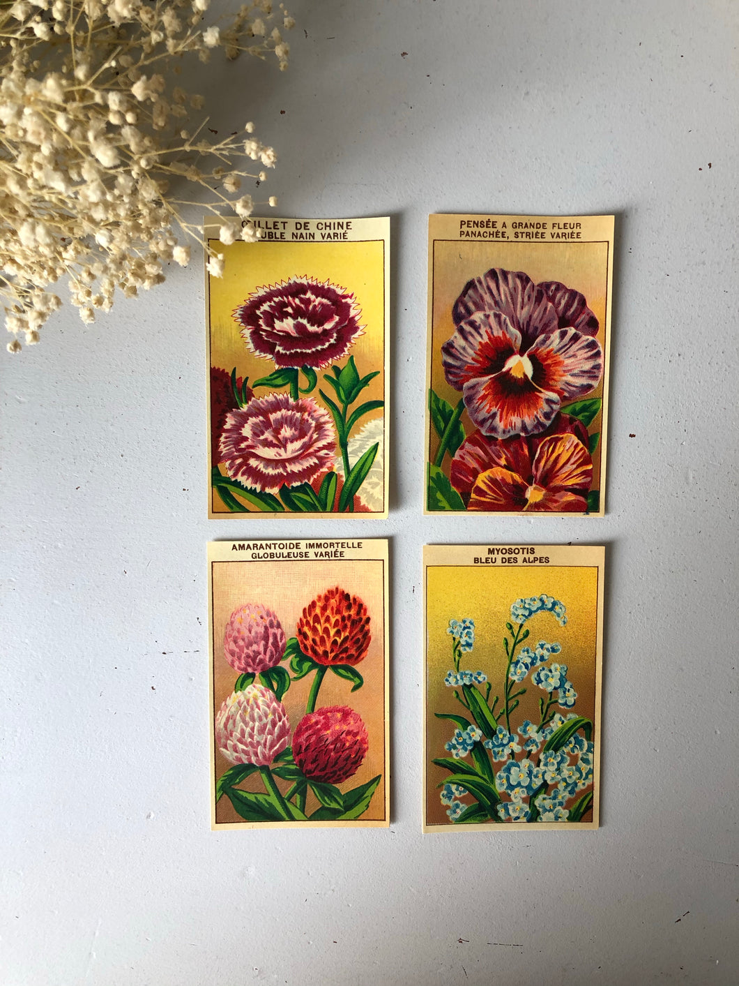 Set of Four Original French Flower Seed Labels, Forget Me Not
