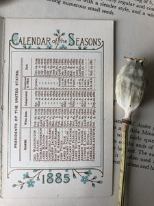 Antique 'Calendar of the Seasons' Card - Spring