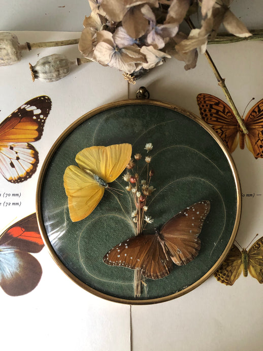 Vintage Butterfly hanging