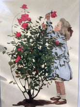 Load image into Gallery viewer, Vintage Rose Card