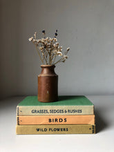 Load image into Gallery viewer, Vintage Observer Book Bundle, Birds, Grasses, and Wild Flowers