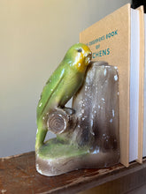 Load image into Gallery viewer, Vintage Budgie Bookends