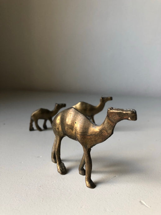 Set of Vintage Brass camels