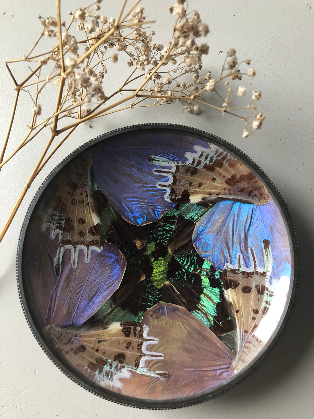 Vintage Butterfly Trinket Dish