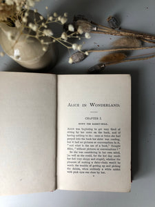 Antique Alice In Wonderland Hardcover